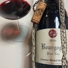 Bourgogne Pinot noir 2020(Michel Noellat)