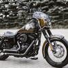 バイク：Killer Custom「2014 FXDB Street Bob TAIPAN」