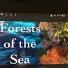 【テレビ感想文】Forests of the Sea／葛西臨海水族園の世界／上野動物園の世界