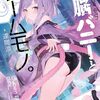 【新作ラノベ感想part165】電脳バニーとゲームモノ。
