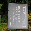 万葉歌碑を訪ねて（その１８５４～１８５６）―松山市御幸町　護国神社・万葉苑（１９，２０，２１）―万葉集　巻八　一四一八、巻十四　三五七二、巻二　九〇