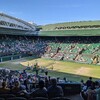 Wimbledonに行ってきた