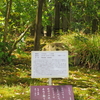 万葉歌碑を訪ねて（その１０７３）―奈良市春日野町　春日大社神苑萬葉植物園（３３）ー万葉集　巻八　一四七七