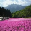 １１　秩父市！あの花聖地巡礼と芝桜