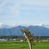 天気が良いと良い事がある！