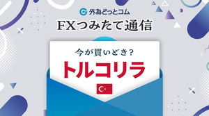 トルコリラ今後の見通し「リラ円は史上最安値更新！トルコリラに何が起こっている？」 2024年8月29日