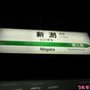 新潟駅その１♪（週末パスJR東日本わりと一周2017、１日目その２３、新潟県新潟市中央区花園）