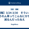 【週報】3/24-3/30　そういえばほうれん草ってこんなにカサが減るんだったねえ