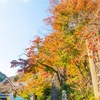 高尾山の秋のはじまり