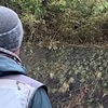 2022年4月　ハッチ！ハッチ！ハッチ！