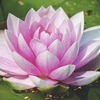 ”目醒めて、幸せに生きる”６か月（１８回）コース