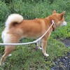 9月です。