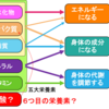 代謝学⑥～糖質制限をしても細胞は炭水化物（糖質）を作り出す（生化学の基礎中の基礎）～