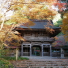 【美濃市】大矢田神社の紅葉。