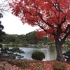 東京で紅葉の庭園③。江東区〜台東区編。清澄庭園、国立西洋美術館園地、東京国立博物館庭園と『禅 −心をかたちに−』展 ＠ トーハク