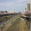 湘南大橋をめざして