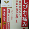 牛車腎気丸