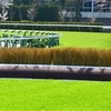 【兵庫競馬（園田・姫路競馬場）】の面白い名前の競走馬28頭を紹介！【令和6年11月19日更新】