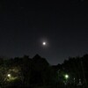 今夜の月