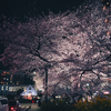 sony α7Ⅳで撮り歩く桜の日の夜 vol.2 ＠国立駅周辺