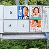 20250720の参院選に向けての所感