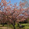 基本を見直そう