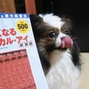 【体験談】パソコン眼精疲労の解消法｜本気で効いた3つの方法とおすすめグッズ