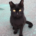 佐藤 誠 の あくまでも独り言