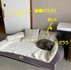 たっぷり雨降り