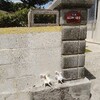 大神島…上空から、宇宙から眺める…meditation 