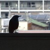 2025年4月10日（木）　7 to 7  on  Thursday