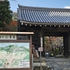 京都ー紅葉狩り🍁⑧ー『二尊院』
