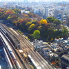 ４つの電車　と　秋の飛鳥山公園