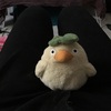 〔写真企画〕これはそんな話