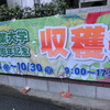 東京農大収穫祭　１０月２９日・３０日（２０１７年）