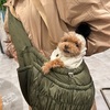 みんなそれぞれ冬支度