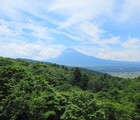 御正体山プリンスルート登山！熊出没と水場、駐車場詳細！