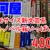 圧倒的物量！駿河屋『B6サイズ　新文芸系　ライトノベル箱いっぱい』を開封！