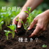 暦の目的は？