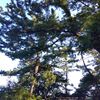野島公園散策！