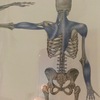 二の腕フェチから見た二の腕の重要性