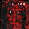 GOTTHARD/HOMERUN