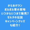 からあげクンポカポカ草の実味いつからいつまで販売？ゼルダのキャンペーングッズも紹介！