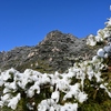 山行記　右田ヶ岳　塚原コース往復　雪景