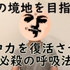 【初心者用】マインドフルネス瞑想で雑念が消えない！集中できない！そのお悩み、ある呼吸法で解決できます！