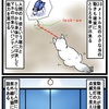 『ほら、ここにも猫』・第373話「猫が見える世界」（The world where cats can be seen）