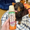 インドカレー屋さんの謎ドレッシング