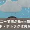 ディズニーで雨が8mm降ったらパレード・アトラクは何が中止？意外な楽しみ方も！
