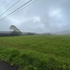 雨が止みそうだったので・・