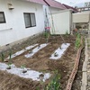 健康な体を作るには　曇り